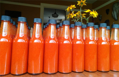 Freshly bottled Louisianna style hot sauce